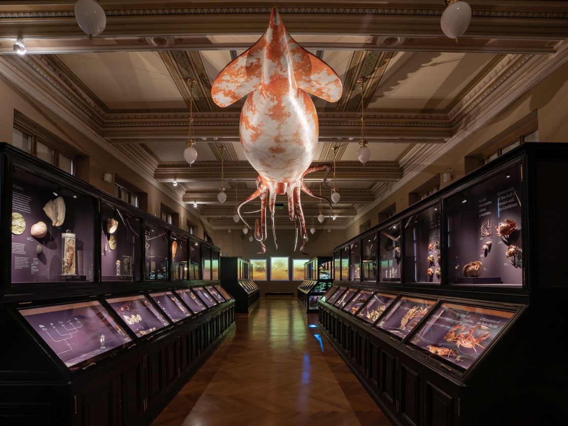 Národní muzeum.jpg